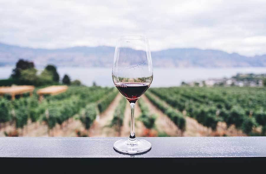Yes, Wine Fraud is a Thing – Here’s How You Can Avoid It